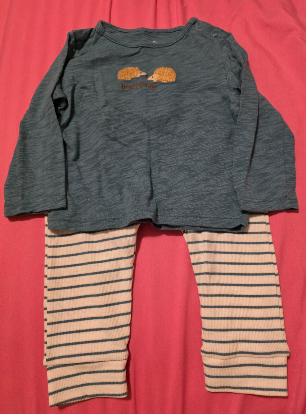 Hedgehog set